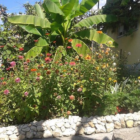 Guesthouse On Kabardinskaya 139A Гагра Екстериор снимка