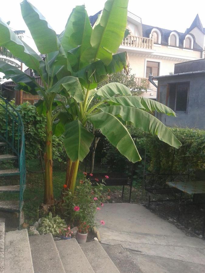 Guesthouse On Kabardinskaya 139A Гагра Екстериор снимка